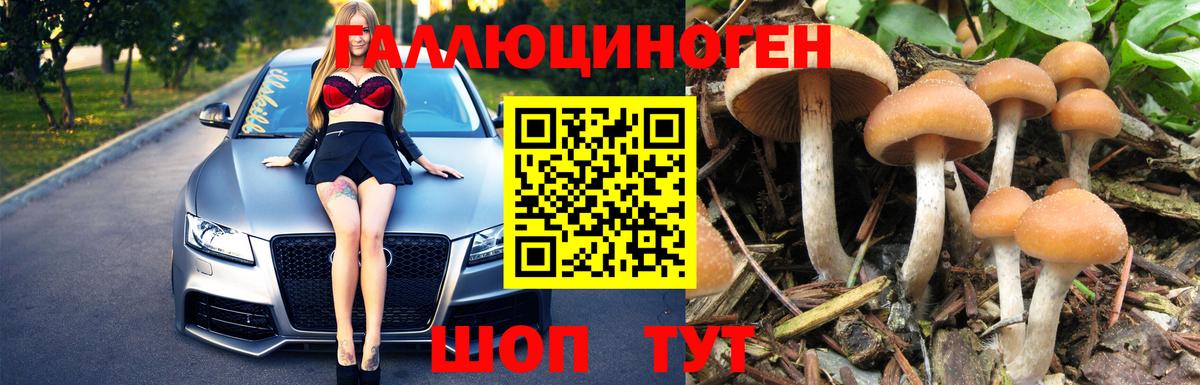 Галлюциногенные грибы MAGIC MUSHROOMS Берёзовский
