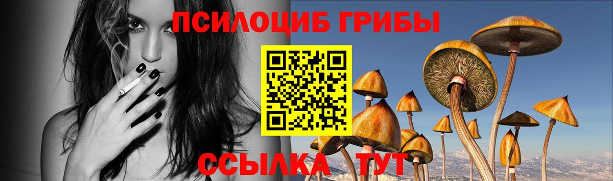 Галлюциногенные грибы ЛСД  Вход с VPN  Берёзовский 